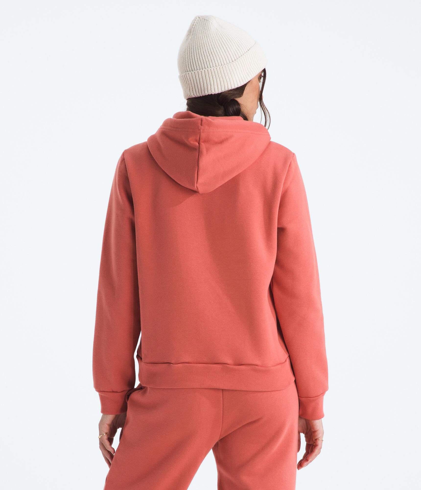 The North Face Womens Evolution Half Dome Hoodie