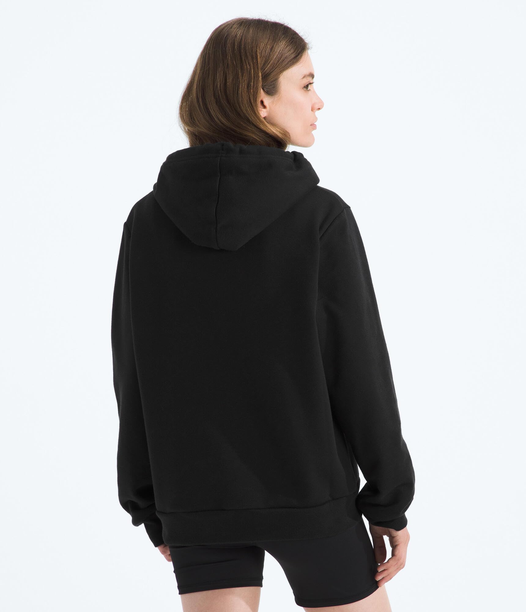 The North Face Womens Evolution Half Dome Hoodie