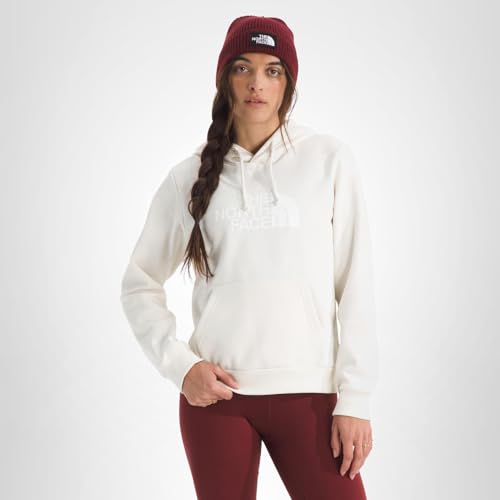 The North Face Womens Evolution Half Dome Hoodie