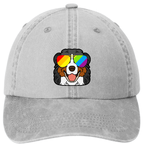 Garment washed Dad Hat - Berner